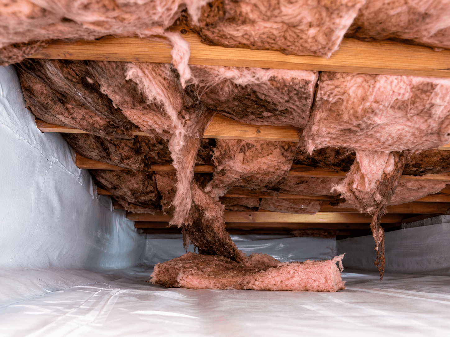 Fallen crawl space insulation between floor joists