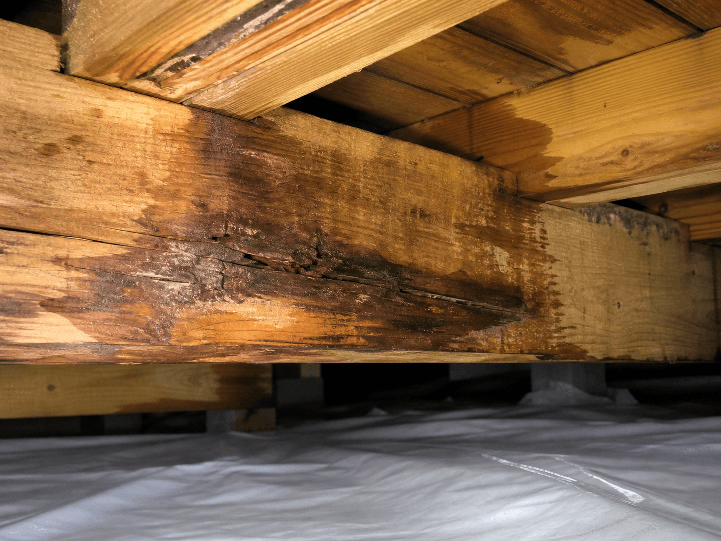 Moisture-damaged crawl space wood beam